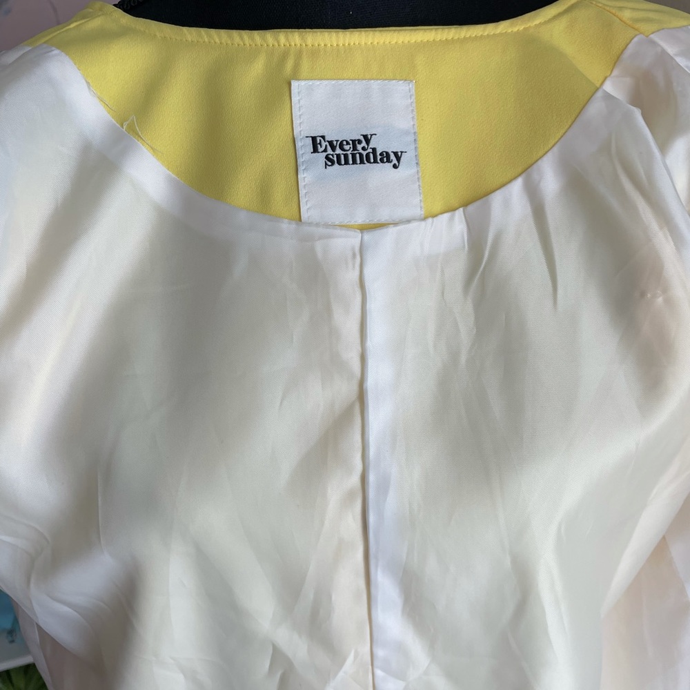 Yellow Coat - image 6